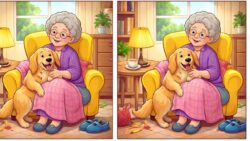 8-Second Challenge: Spot 3 Differences in the Grandma and Dog Image