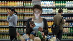 Export bans reshape consumer trust