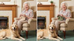 8-Second Challenge: Spot 3 Differences in the Grandma and Dog Image