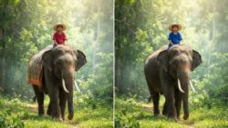 Spot the Difference Puzzle: Identify 3 Changes in the Boy Riding an Elephant Images