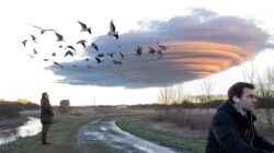 Meteorologists warn early February Arctic breakdown may affect bird migration timing worldwide