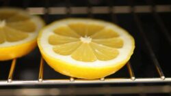 Putting a slice of lemon in a cold oven is a growing household habit: why some swear by it, others call it useless, and what science really says